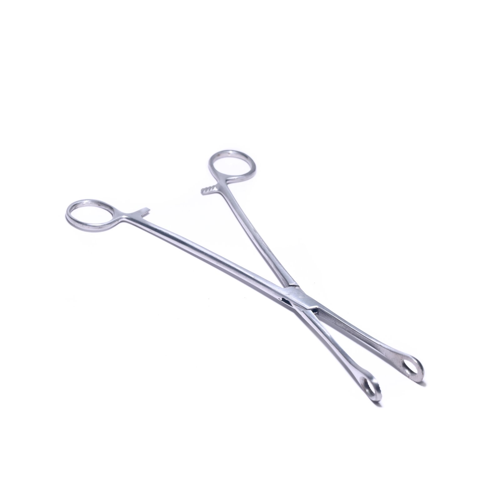 Sponge Holding, Forceps,Normal Quality (202 SS), 8 inch